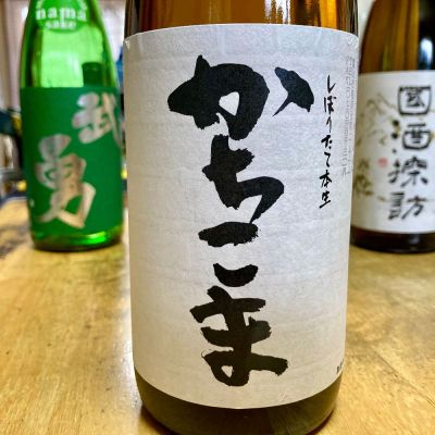 山田 庄司さん(2025年1月17日)の日本酒「勝駒」レビュー | 日本酒評価