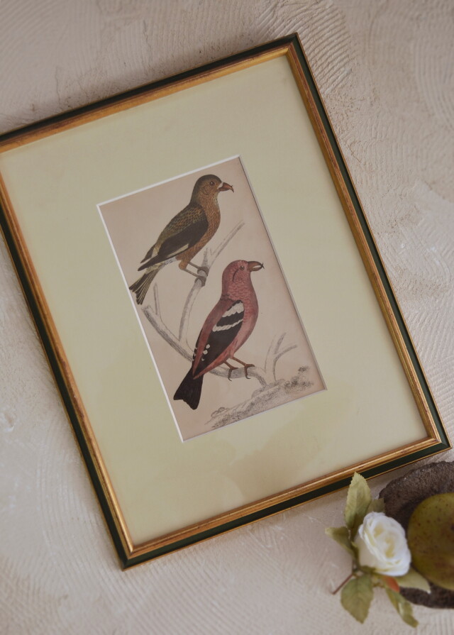 コレクション品！版画 絵画 一点物 アンティーク レトロ 【公式通販】