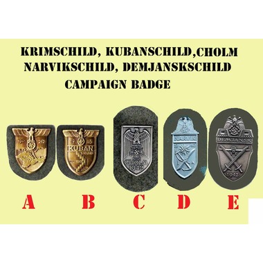CAMPAING-shield.jpg