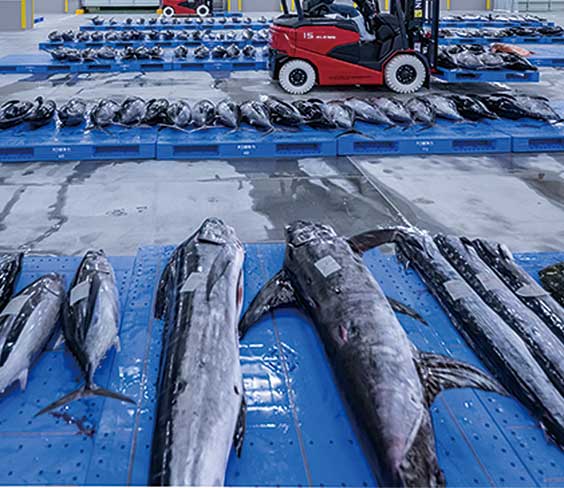 製品詳細 | 検索結果一覧 | 製品検索 | 製品情報 | 三甲株式会社