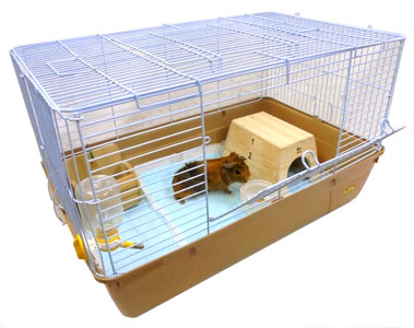 モルモット飼育セット