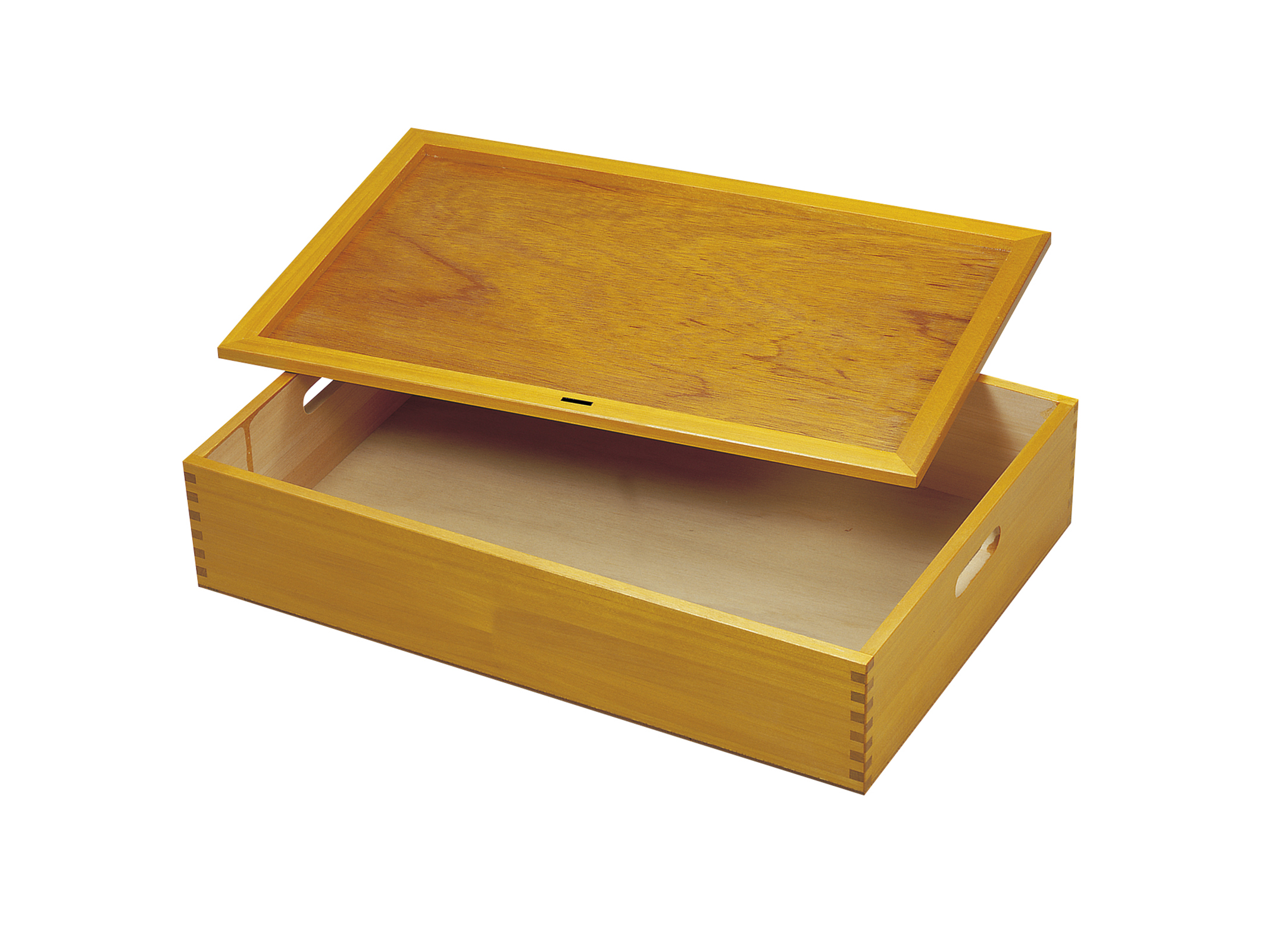 大型標本箱 2箱 大型標本箱 2箱 標本箱 オリジナルCタイプ |