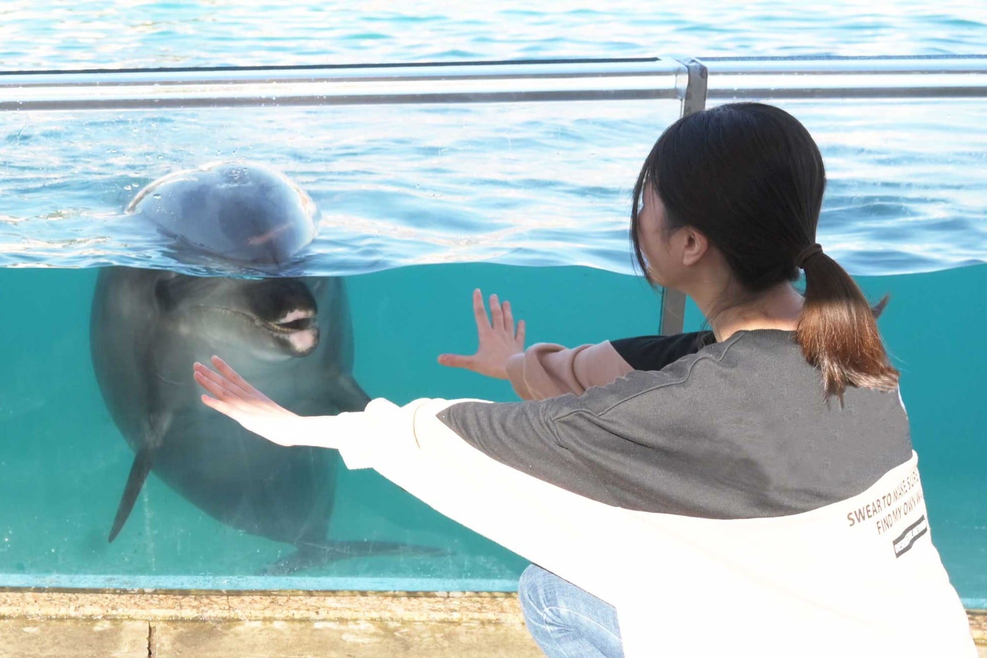 Dolphin Fantasy | Yokohama Hakkeijima Sea Paradise