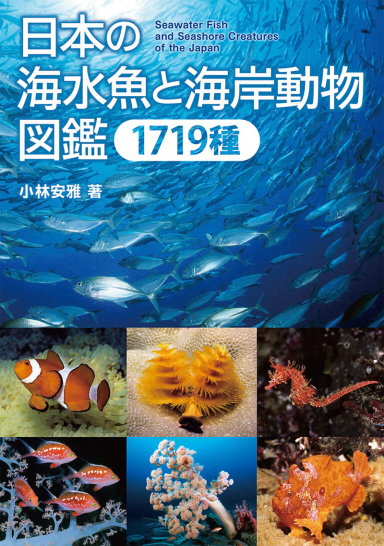 海水魚鑑賞 備品いろいろ（全品購入の方募集） 海水魚鑑賞 備品