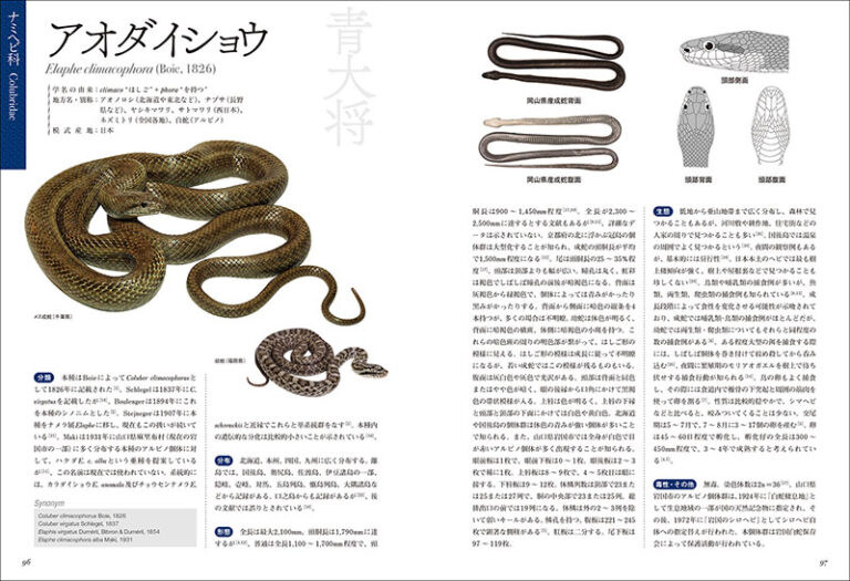 日本ヘビ類大全 | 株式会社誠文堂新光社