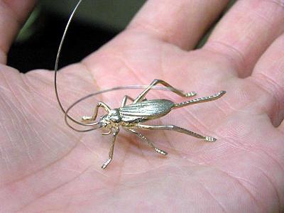 秋の訪れ 虫たち | 清課堂 / 錫・銀・各種金属工芸