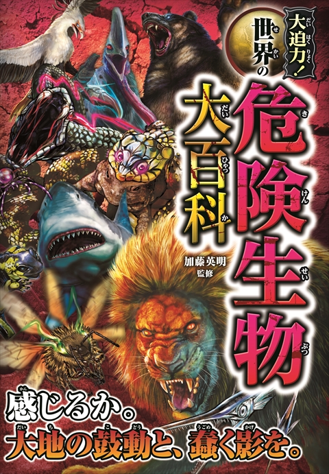 ○大迫力！伝説・古生物・ファンタジーセット｜西東社｜『人生を楽しみ