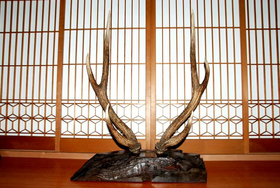 根付け 人物 材質日本ホンシュウ鹿角 N20 根付け 人物 材質日本