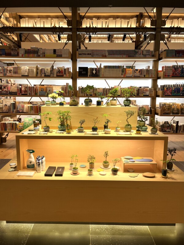 銀座蔦屋書店POPUP｜石木花｜SEKIBOKKA｜盆栽