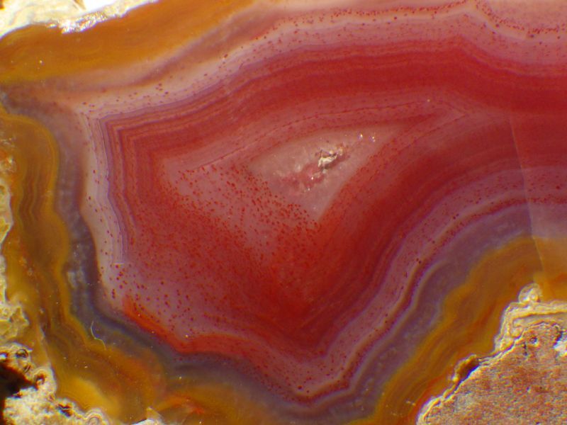 コンドルアゲートA - セルフクリエイション