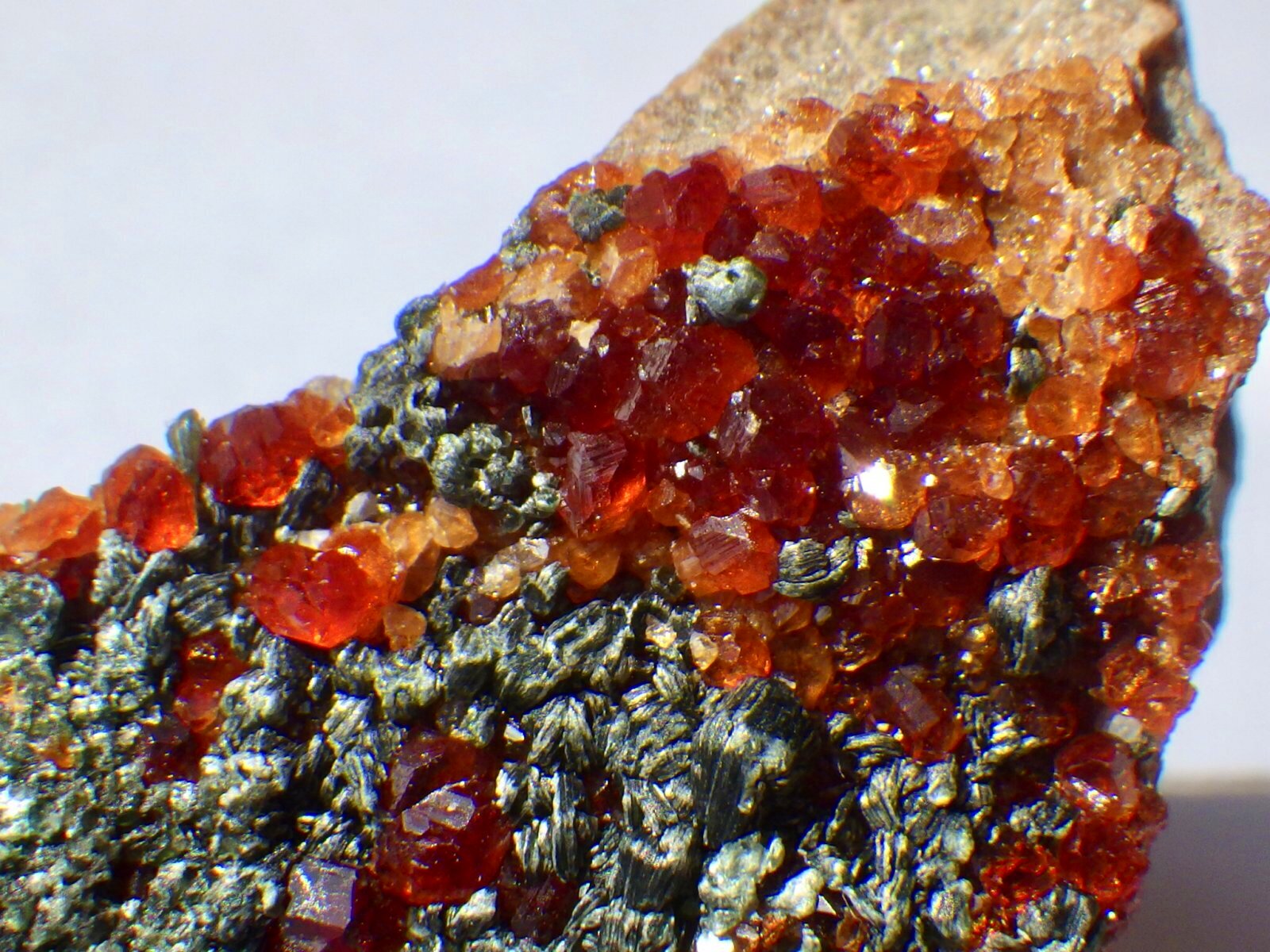 イタリア産ヘソナイトガーネットD - セルフクリエイション