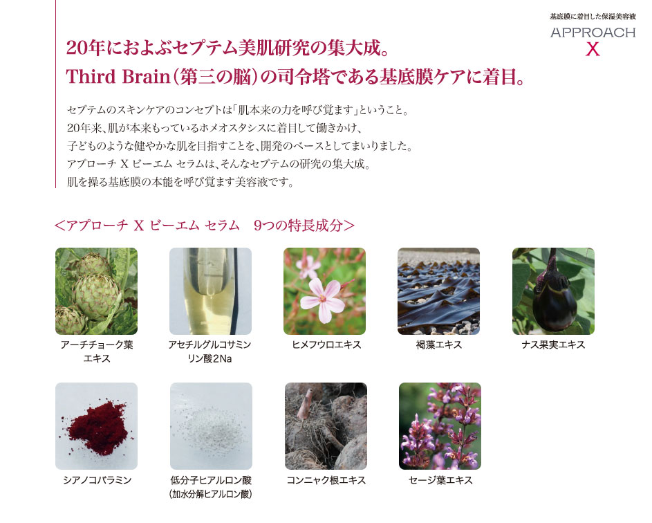 アプローチ X、アップビー発売 | きれいのレシピ by セプテムプロダクツ
