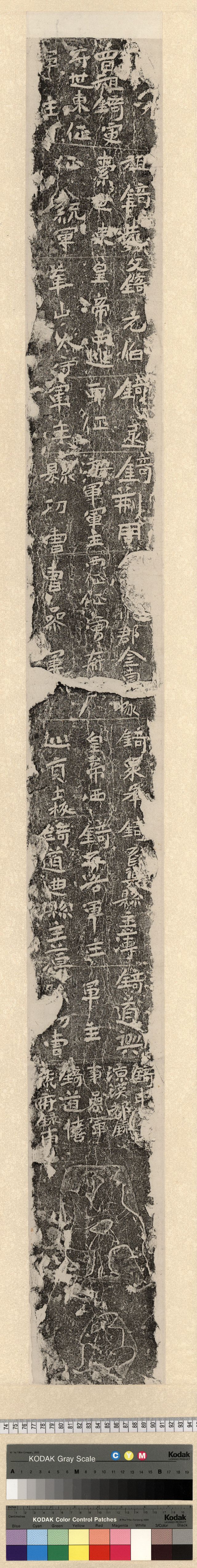 中国石刻拓本デジタルア－カイブズ 北魏｜淑徳大学