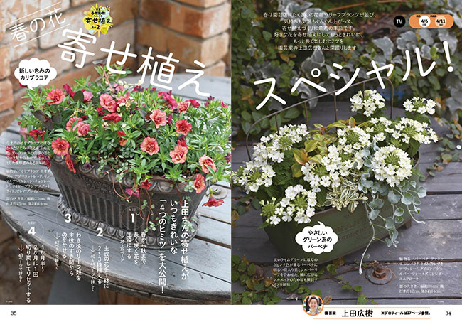 油絵 専用品 ペチュニアが咲く寄せ植え 油絵 専用 ペチュニアが咲く