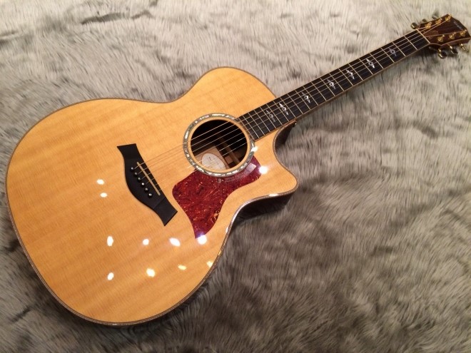 アコースティックギター】倉敷店のTaylorギターラインナップはこちら