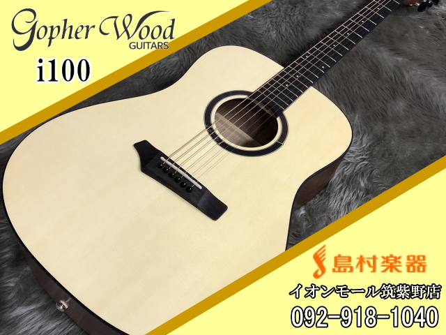 Gopher Wood GUITARS i100 アコースティックギター【ゴフェルウッド