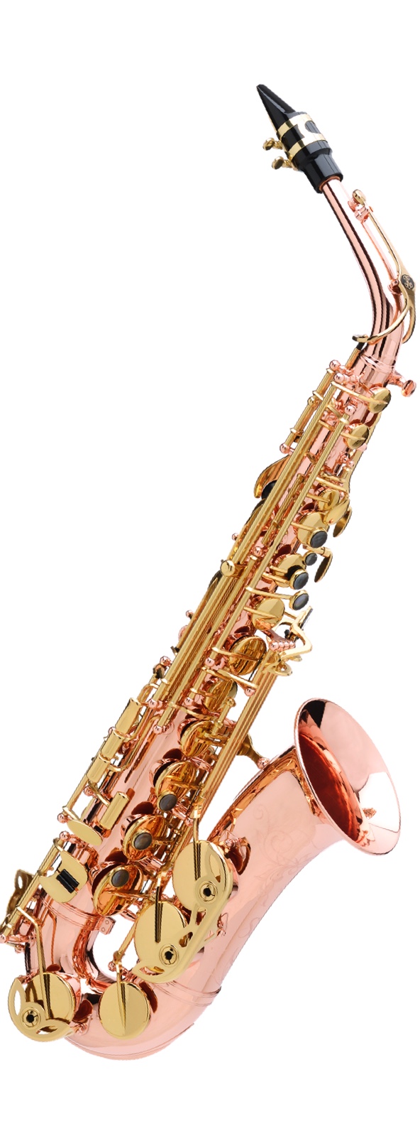 管楽器セレクション】サクソフォンラインナップのご紹介｜島村楽器