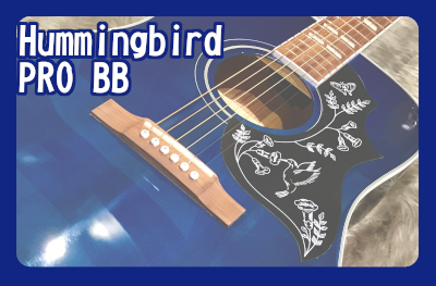 アコースティックギター】Epiphone Hummingbird PRO BB｜島村楽器