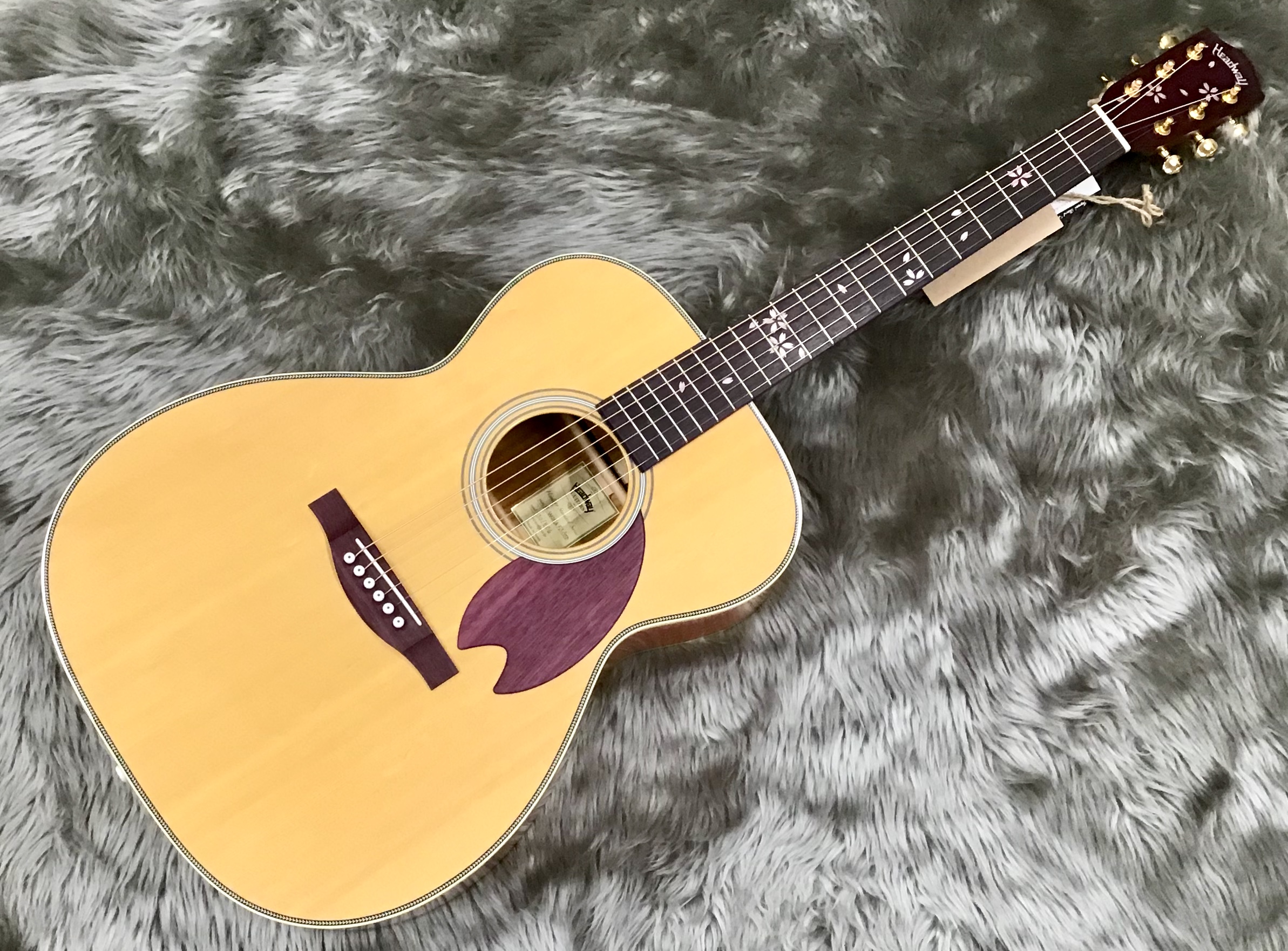 アコースティックギター】Headway HF-SAKURA F S/STD｜島村楽器 イオン