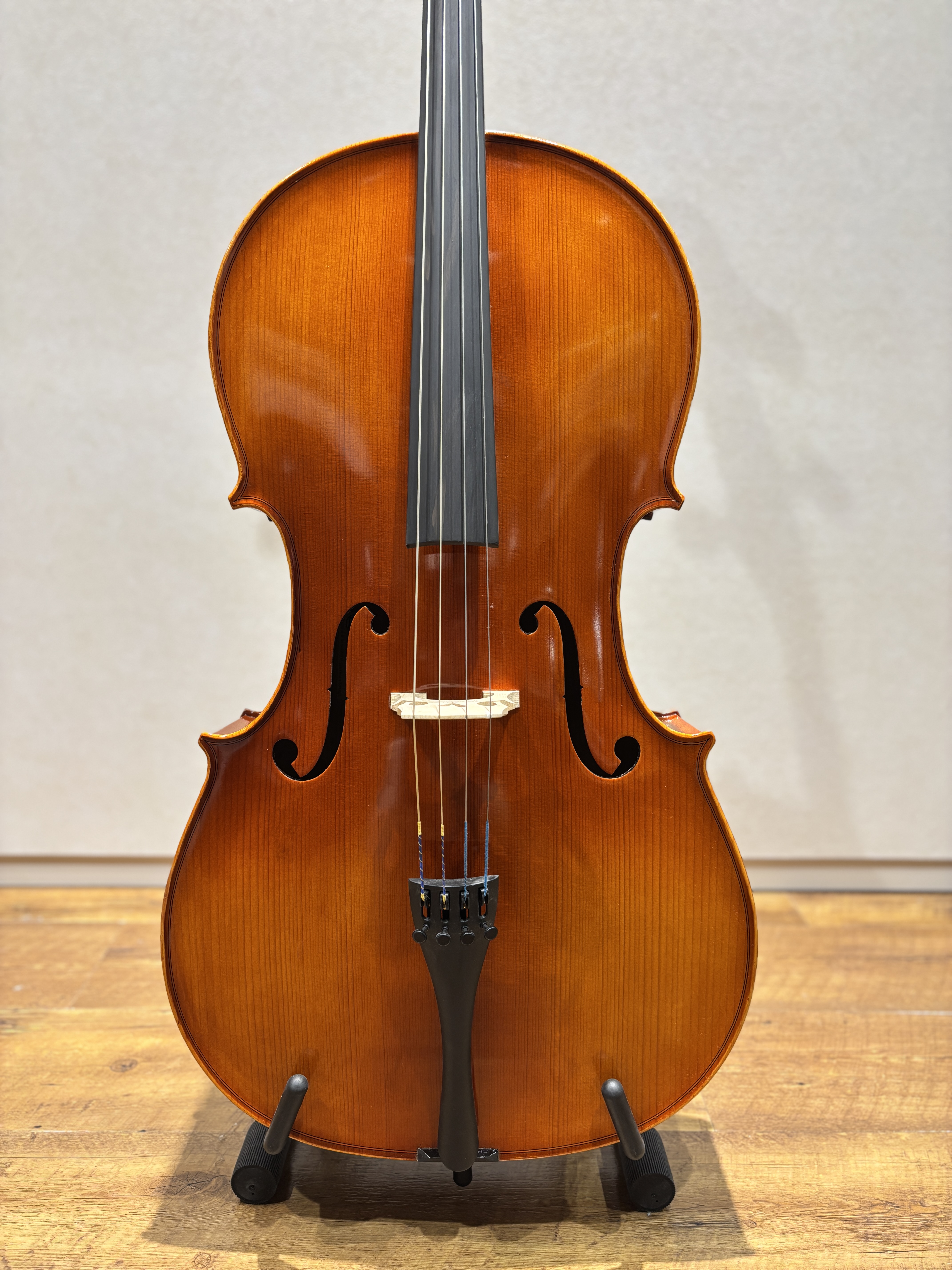 弦楽器】チェロ 展示機種のご紹介｜島村楽器 名古屋則武新町店