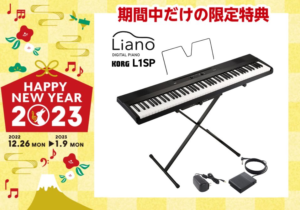 引き取り限定KORG L1 Liano 2022年製 引き取り限定KORG L1 Liano 2022