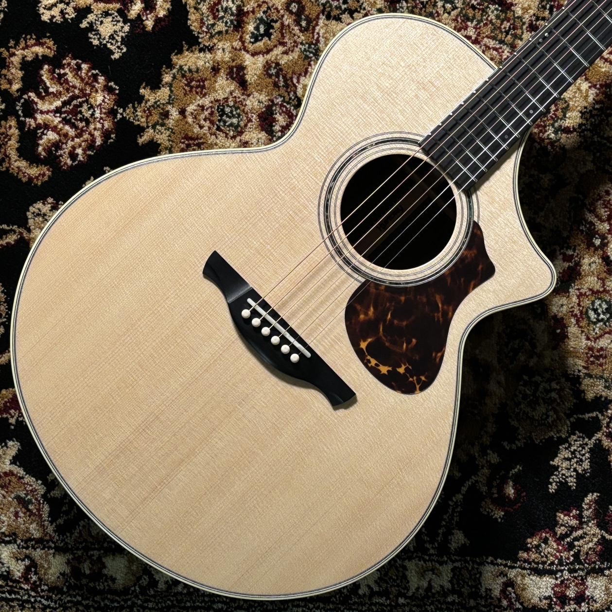 アコースティックギター】東郷店のHISTORYラインナップ！(2026/01/05