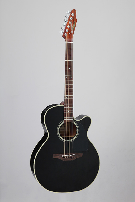 アコースティックギター】限定200本！6連ペグ仕様Takamine TDP500-6(BL