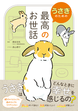 人気作家 野ばら社rosily様 白鳥のかぶりもののウサギ うさぎ LL2227