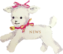 Shirley Temple TOKYO ＆ OSAKA ＆ 公式オンラインストア 限定色 “くま