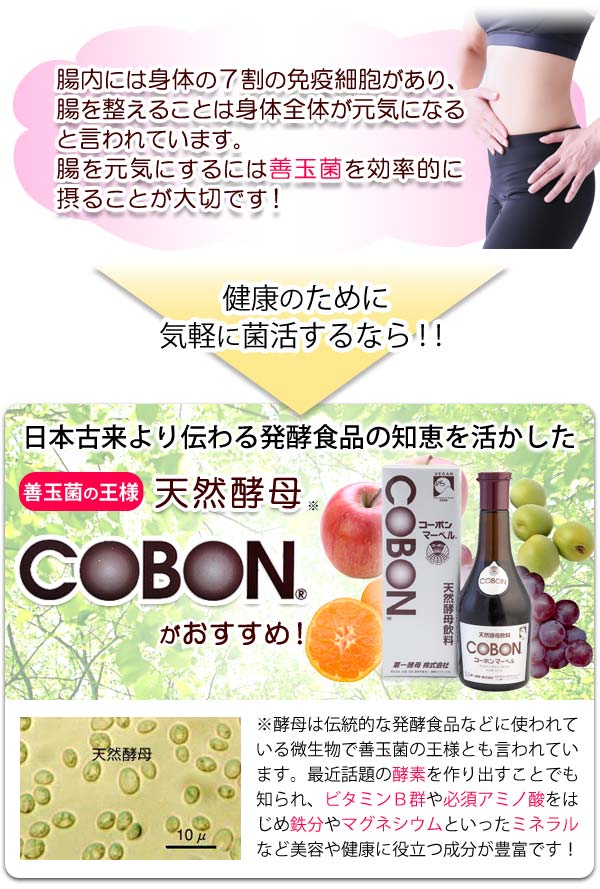 3本セット】コーボンマーベル（525ml）酵母 ダイエット コーボン