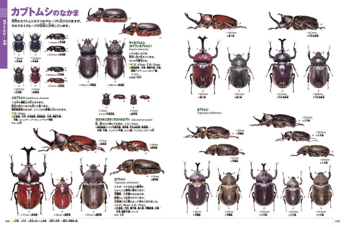 新版］カブトムシ・クワガタムシ | 小学館の図鑑NEOシリーズ | 小学館