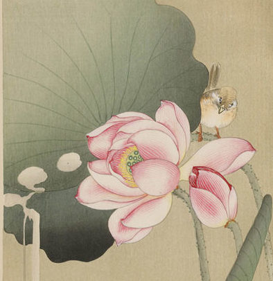 小原古邨展」茅ヶ崎市美術館〜日本の四季を描き出す木版画技術の粋