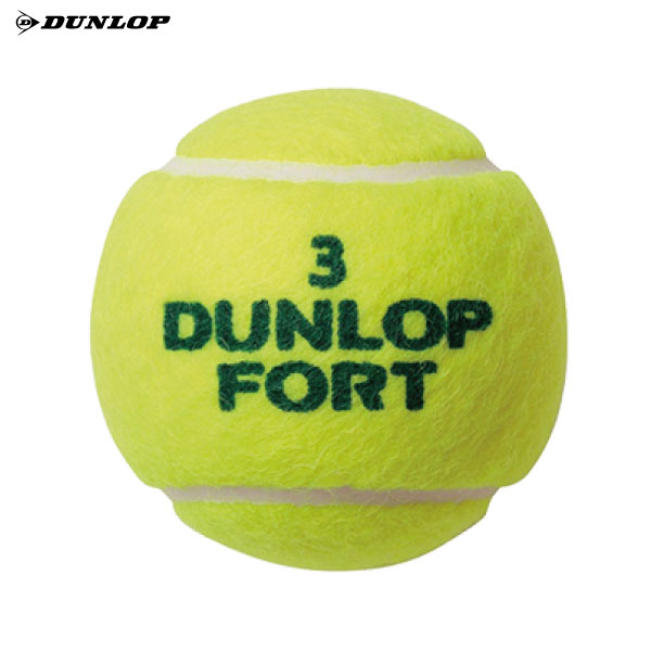ダンロップ フォート4 DUNLOP FORT4 1箱 30缶 120球入 硬式 テニス
