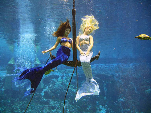 Weeki Wachee Spring/トニ フリッセル/ポスター Weeki Wachee Spring