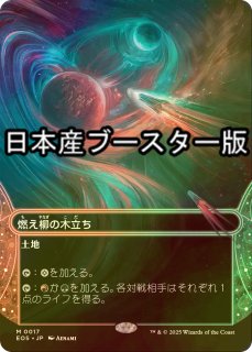 宝石の洞窟 マジック・ザ・ギャザリング 久遠の終端 星景 日本語版