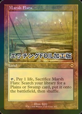 湿地の干潟 英語 拡張 4枚セット 湿地の干潟 英語 拡張 4枚セット