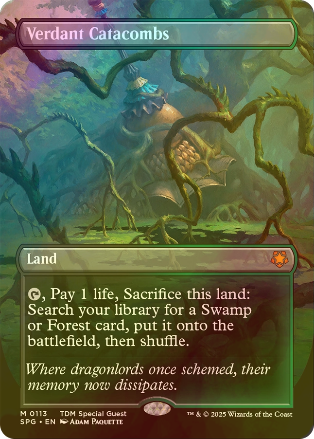 MTG 新緑の地下墓地 Verdant Catacombs 日本語版 4枚セット モダン