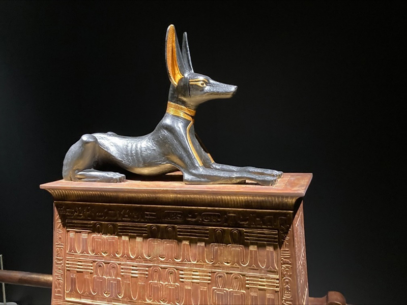 ツタンカーメン 【公式通販】