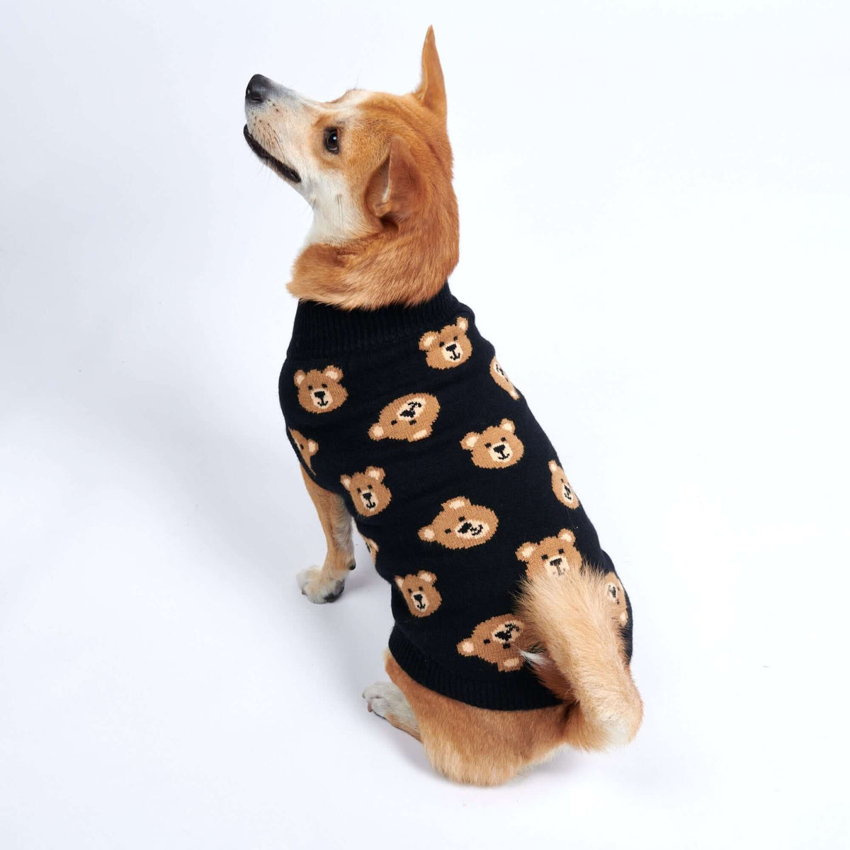 Broken Teddy Bear Knit Dog Sweater - Black – SPARK PAWS