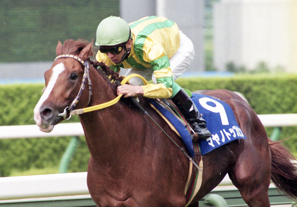 現地単勝馬券 ホビー・楽器・アート マヤノトップガン 95年 有馬記念