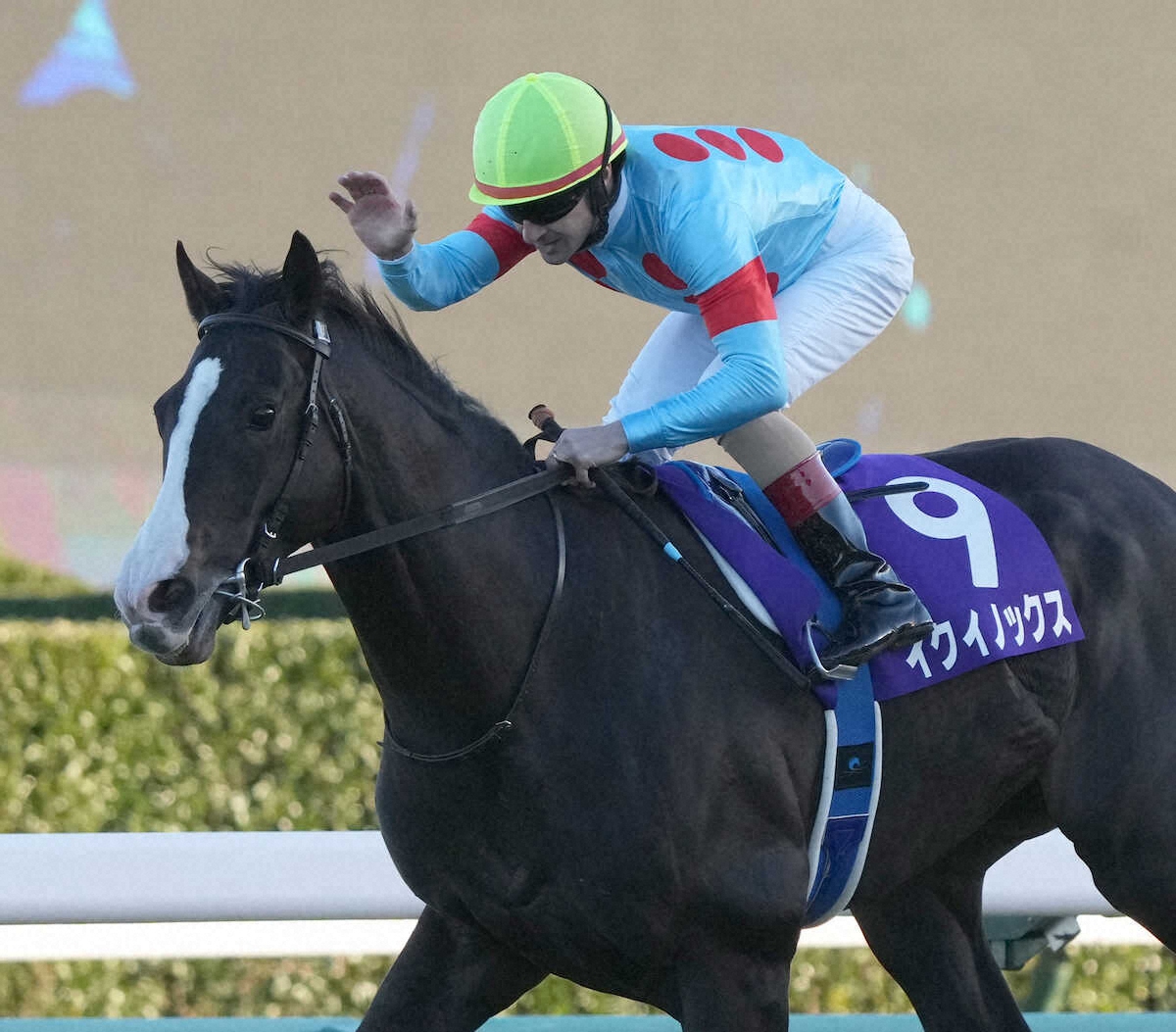 まねき馬倶楽部 年度代表馬・世界一sp 2508イクイノックス まねき馬