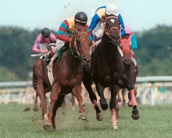 アグネスフライト死す…26歳老衰、00年武豊エアシャカールと7センチ差の