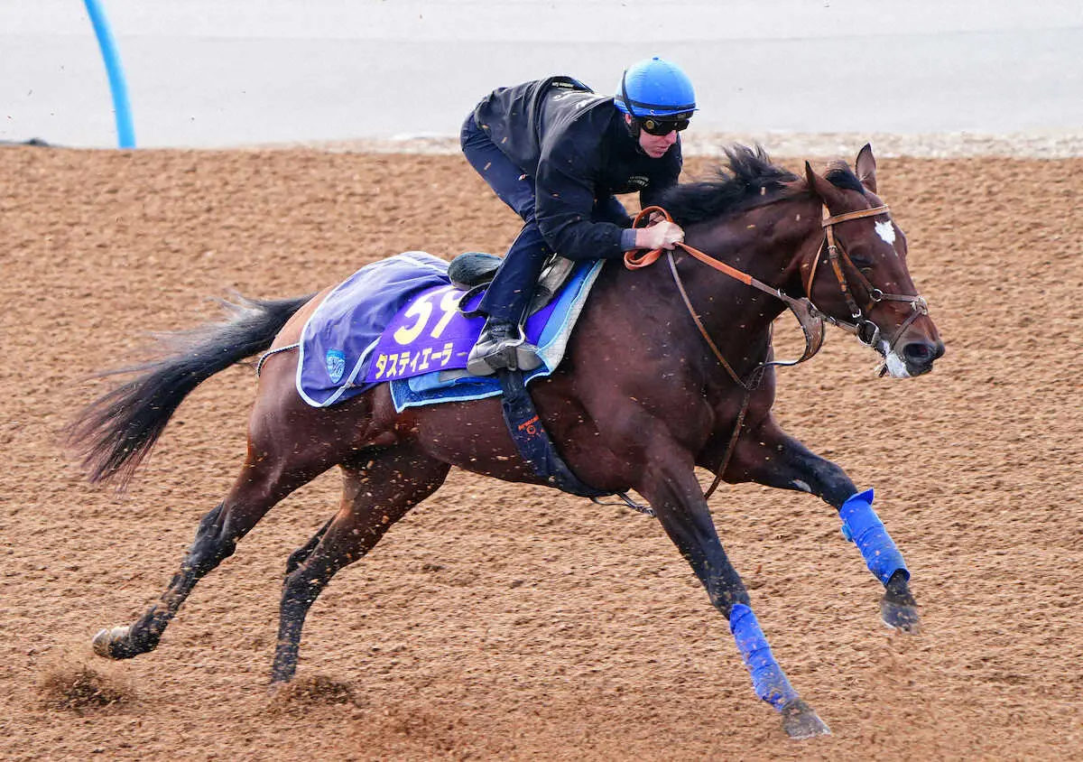 天皇賞・秋】馬券に絡む5歳馬 過去10年で最多5勝 - スポニチ競馬Web