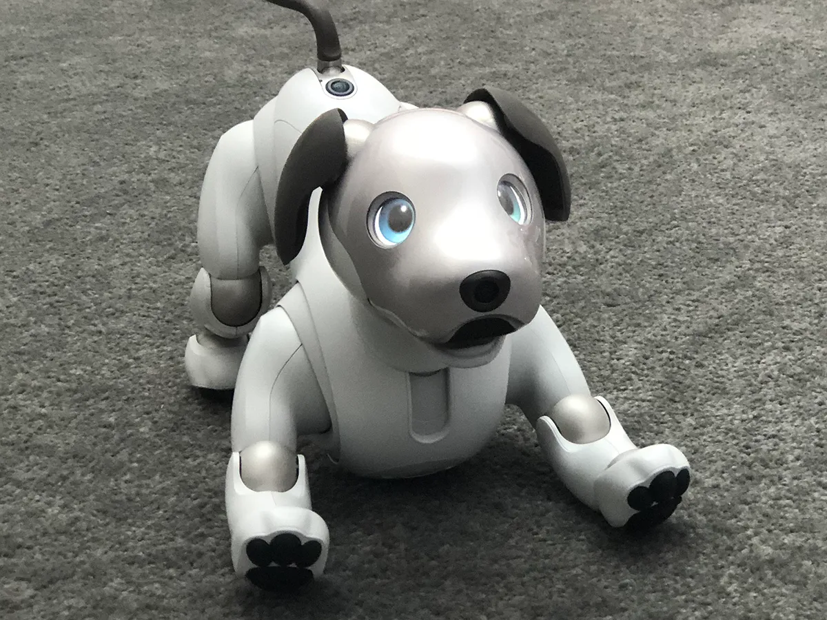 SONY aibo ERS-1000/W Sony Aibo ERS-1000 hands-on review | Stuff