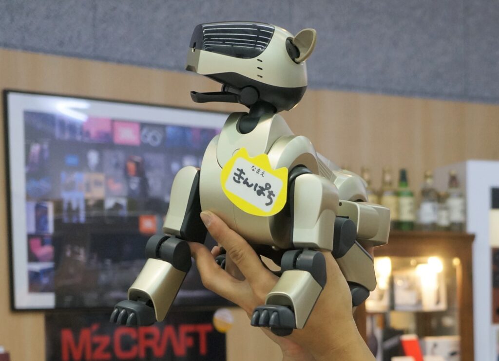 犬じゃないよネコ型ロボット！ - STACC MORIKAWA - 長野県塩尻市の