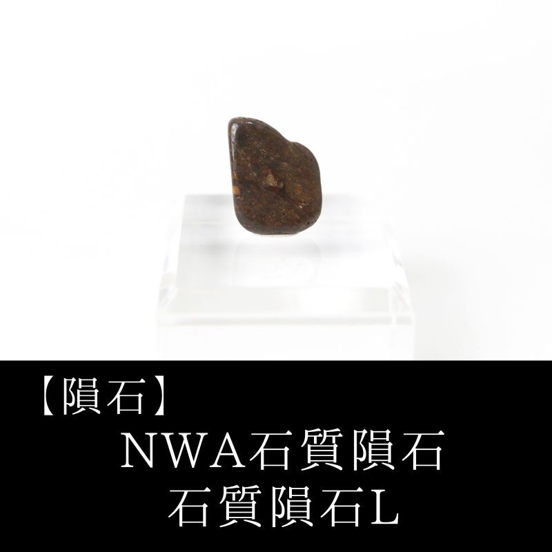 隕石】NWA石質隕石 石質隕石L モロッコ産 品番：1305413054｜置物