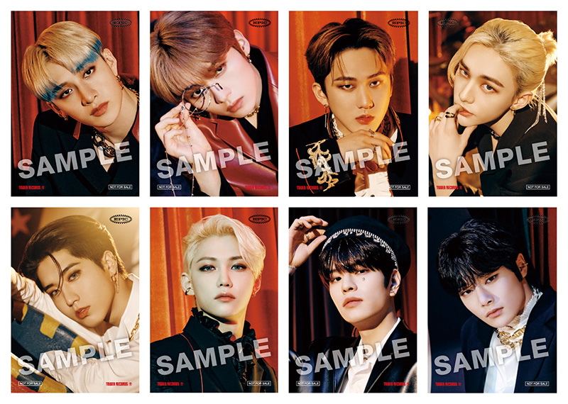 stray kids circus ヒョンジン タワレコ b賞 チェキ トレカ タワレコ B