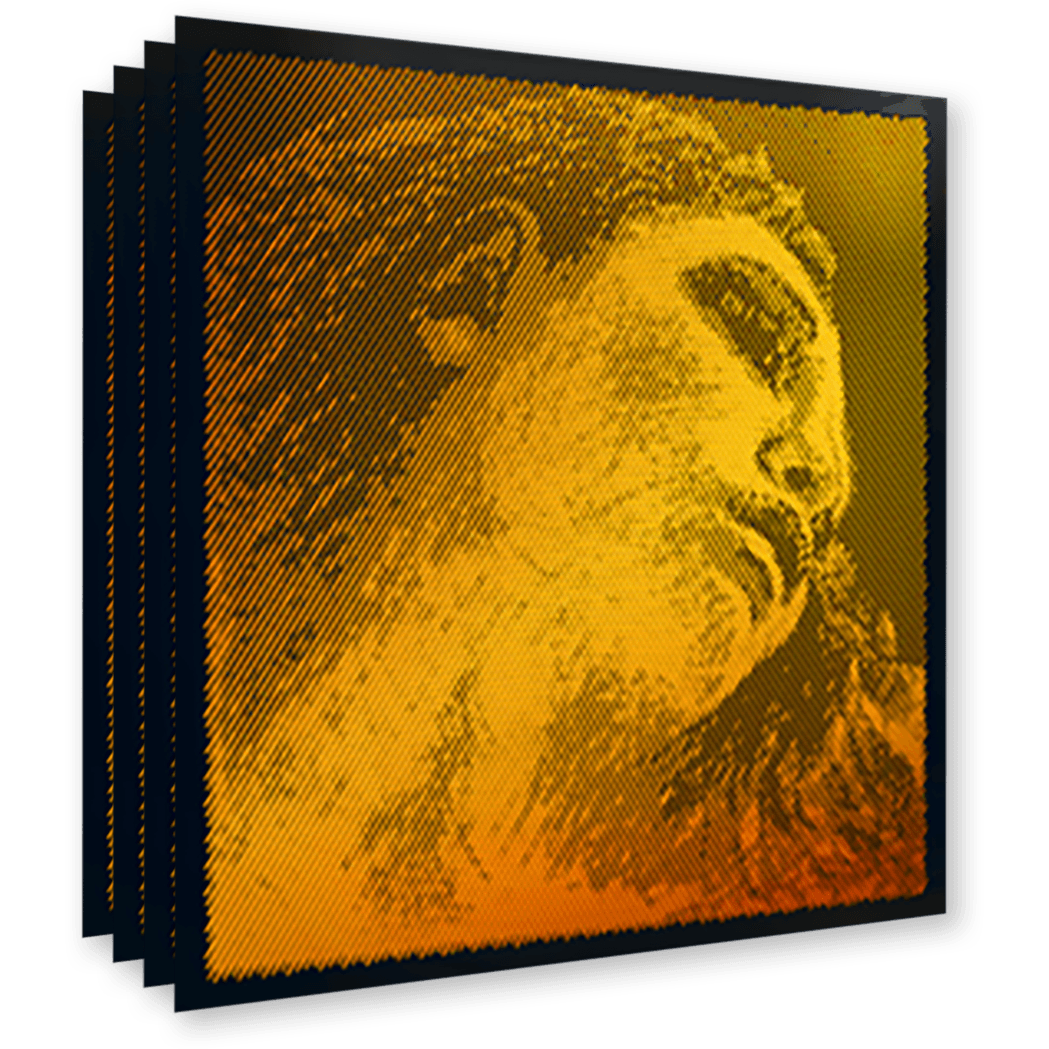 Pirastro Evah Pirazzi Gold Violin Set