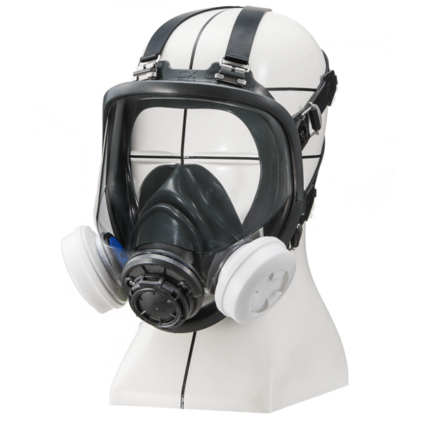 ベ－ト－ヴェン デスマスク ベートーヴェン、リスト、メンデルスゾーン