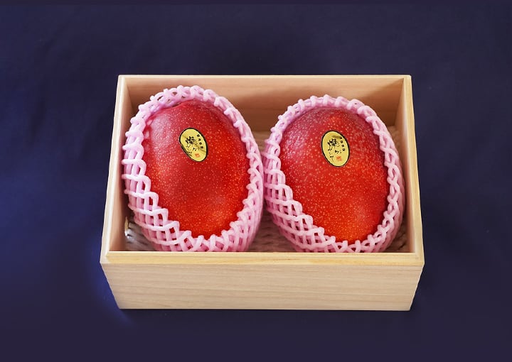 摘果マンゴー Amazon.co.jp: MDSTORE 沖縄青切りマンゴー 摘果マンゴー